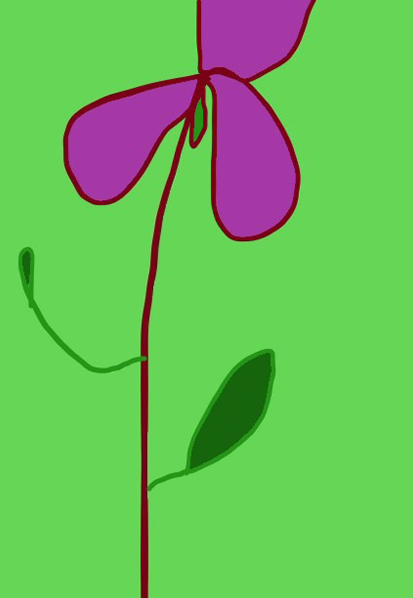 Purple Flower 3 by KJ Hannah Greenberg