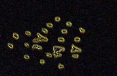 Internal Blips