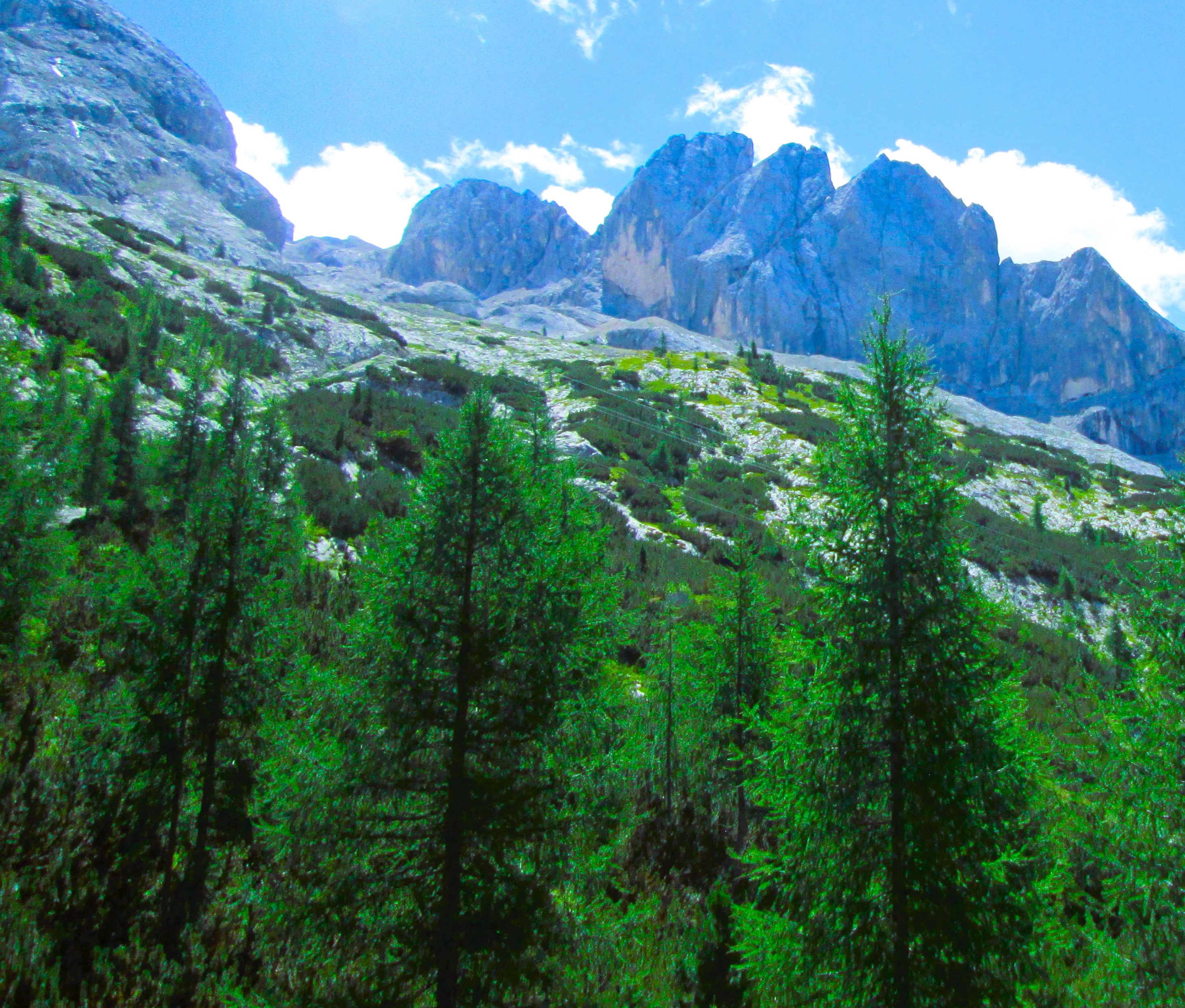 Pines and Sky by KJ Hannah Greenberg