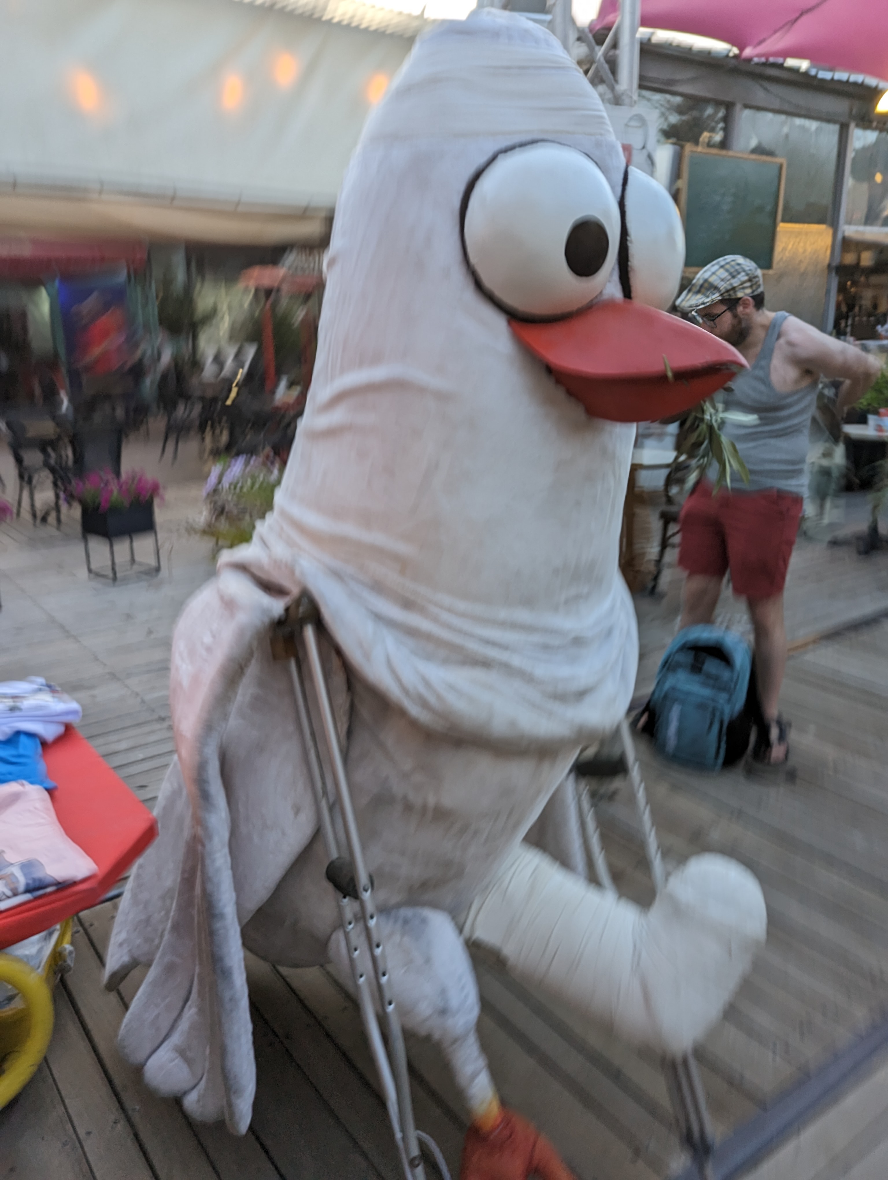 Weird Duck by KJ Hannah Greenberg