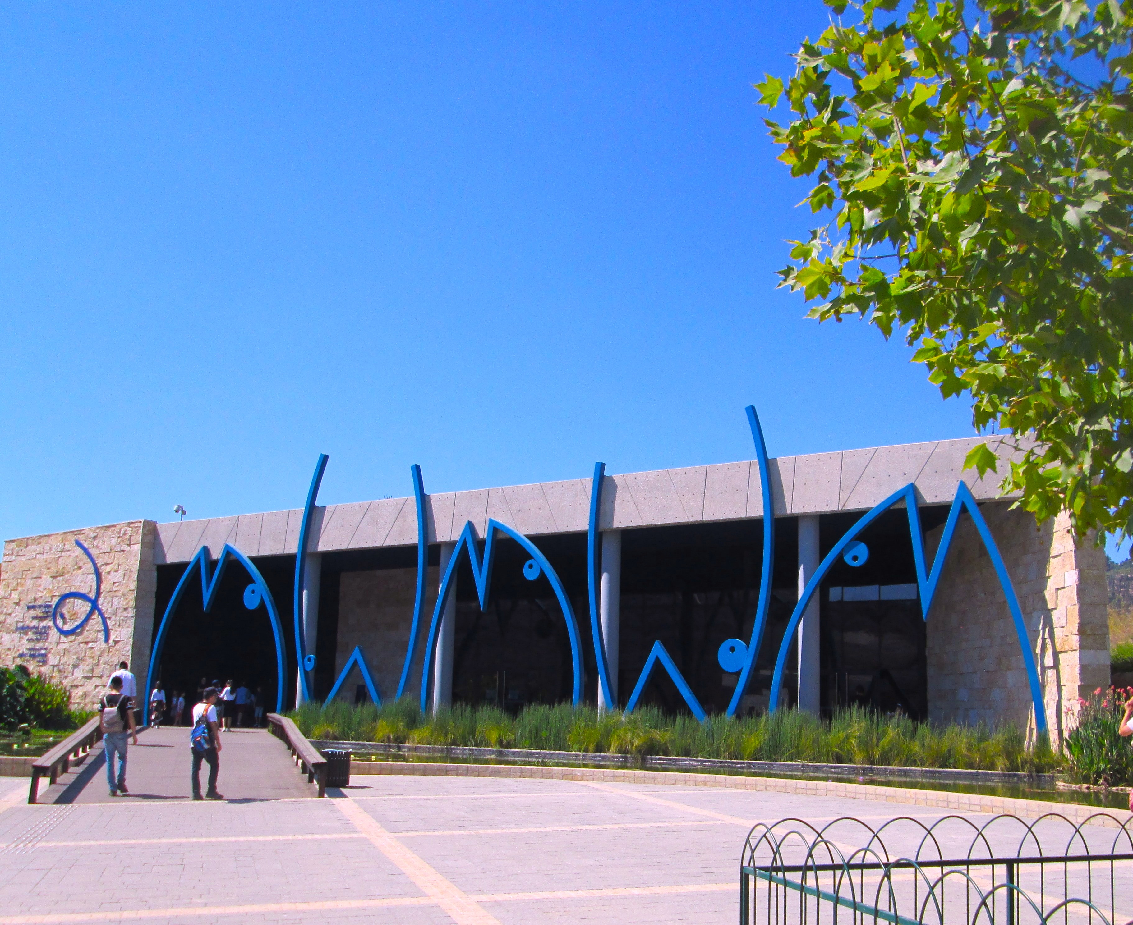 Jerusalem Aquarium by KJ Hannah Greenberg