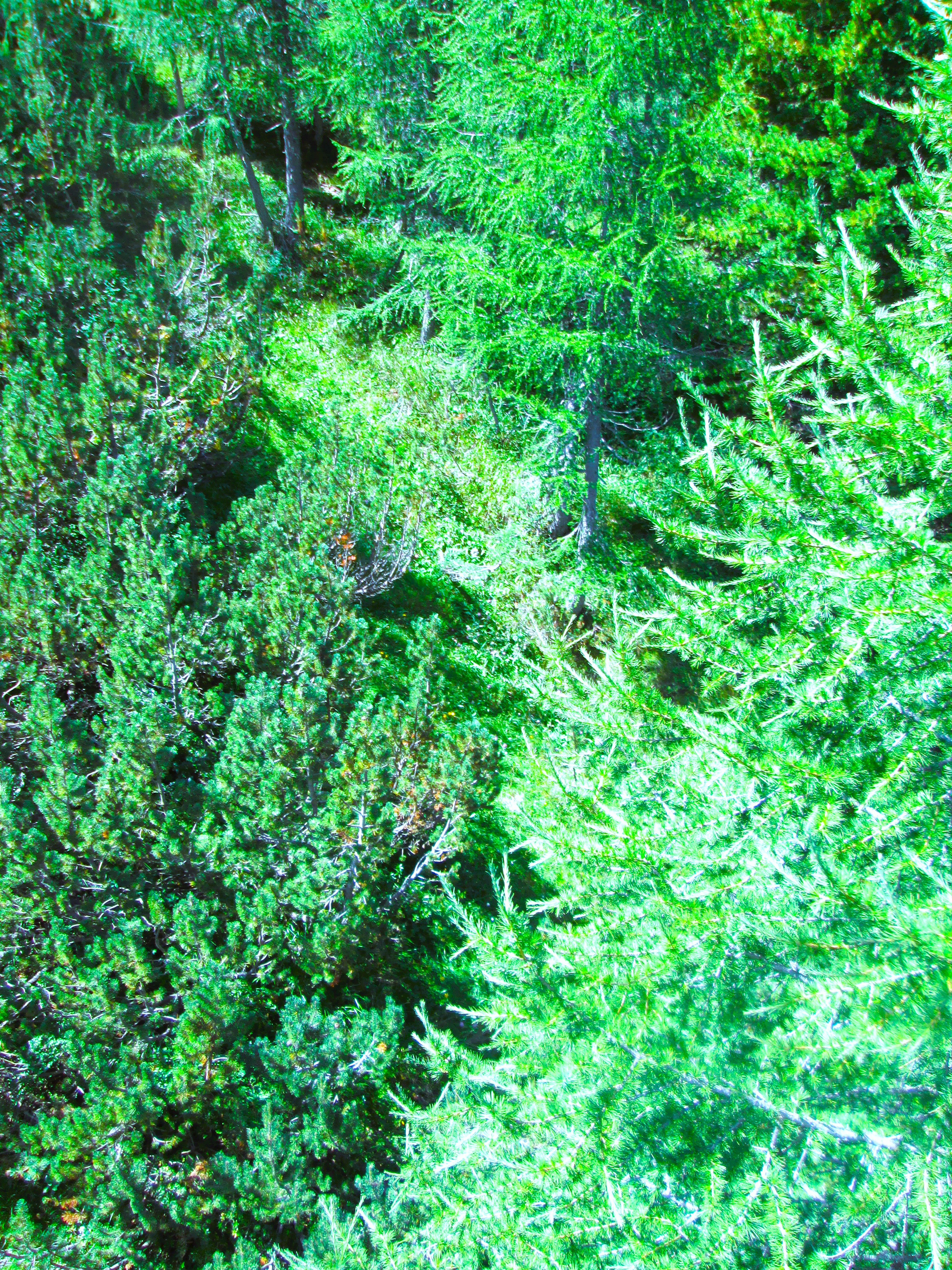 Green by KJ Hannah Greenberg