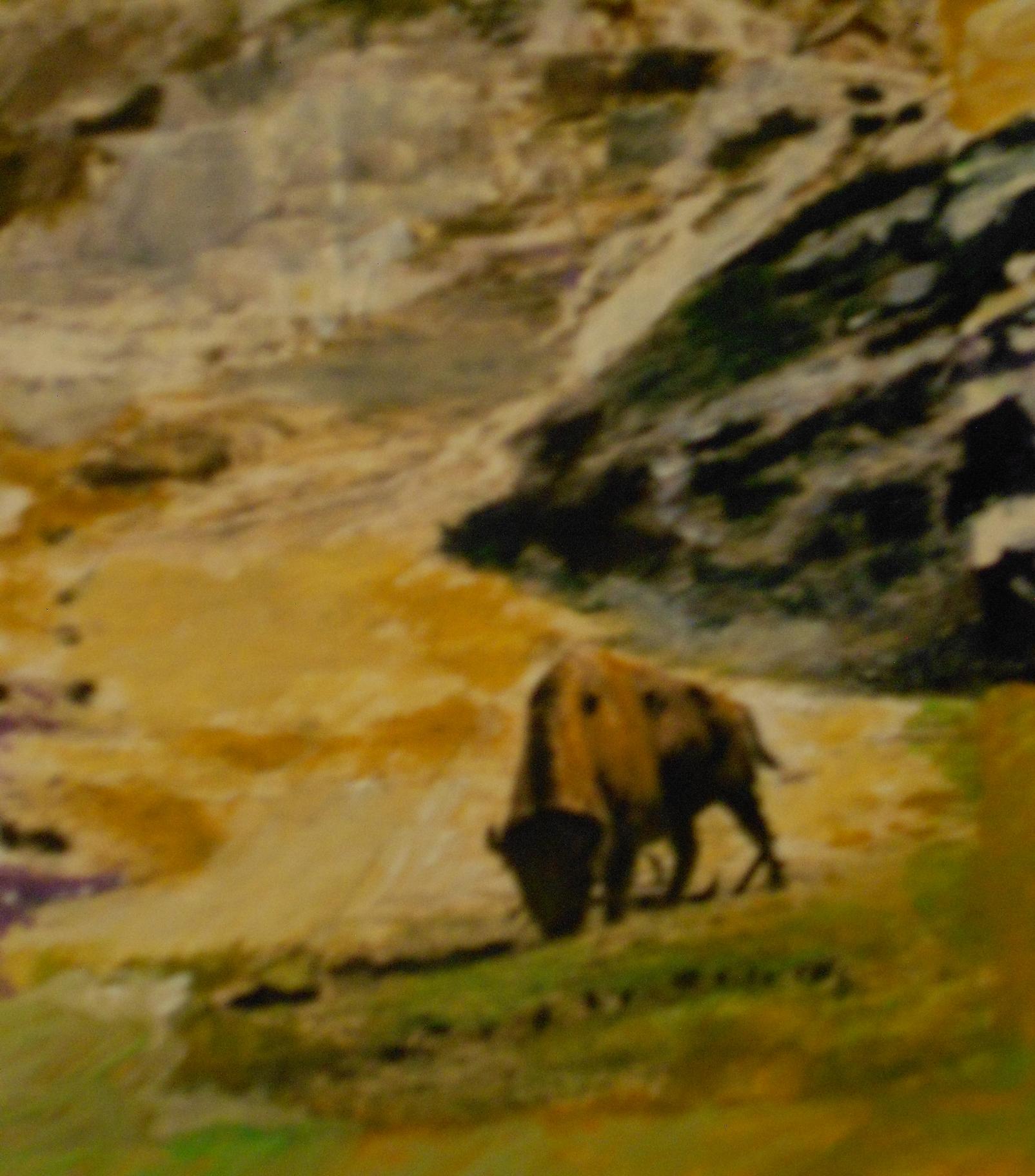 Bison Stroll by Terry Brinkman