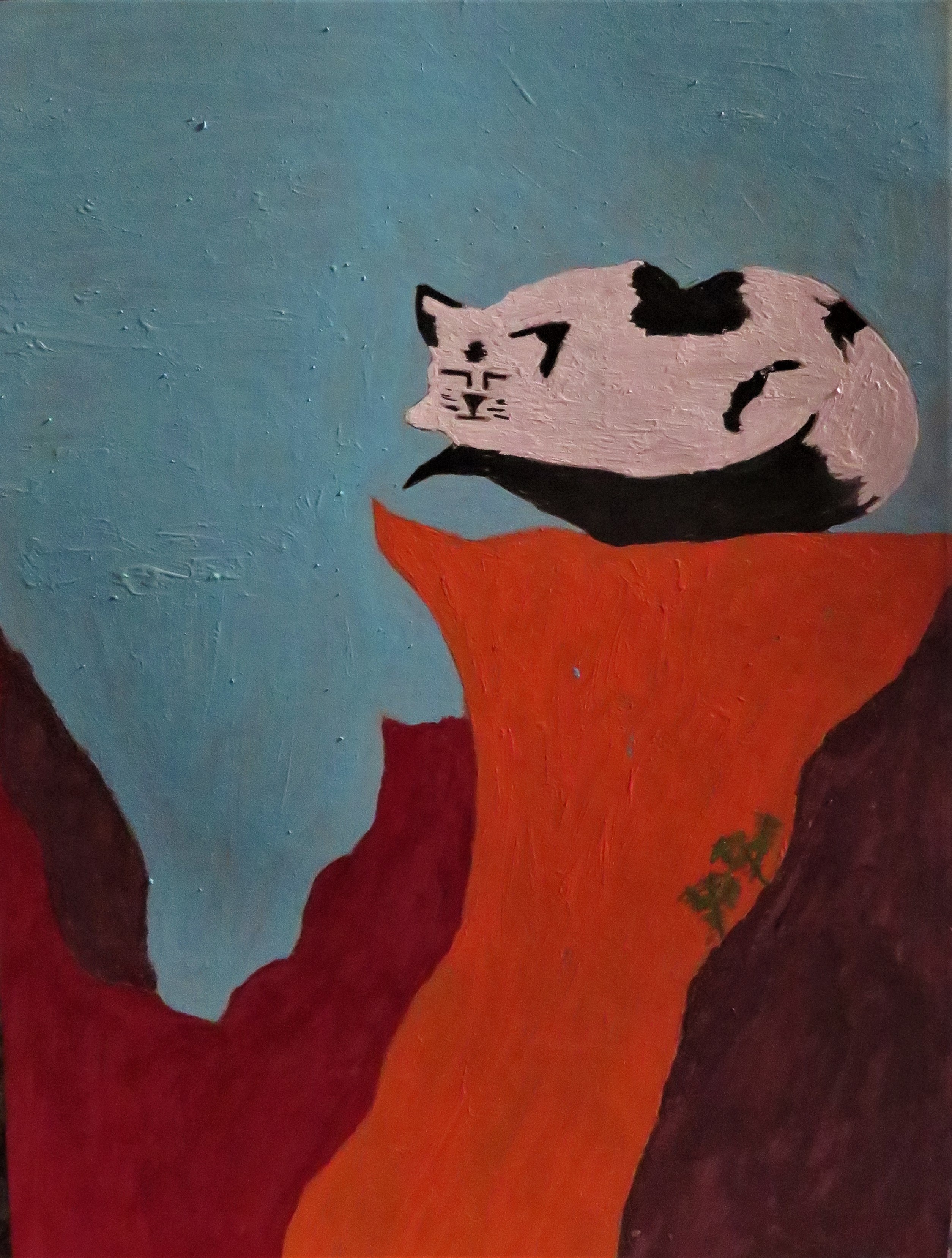 Desert Sleep by Terry Brinkman