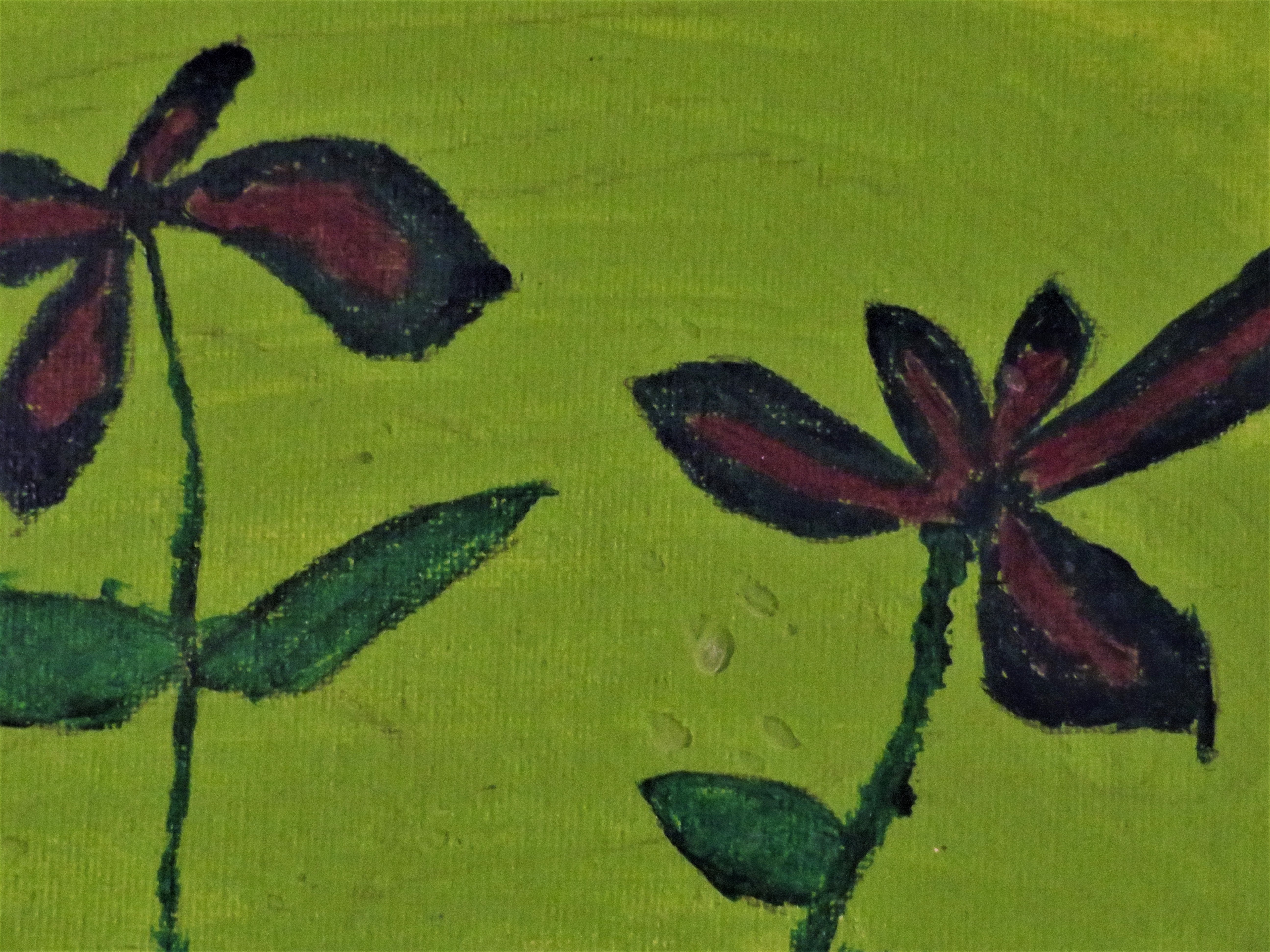 First Bloom by Terry Brinkman